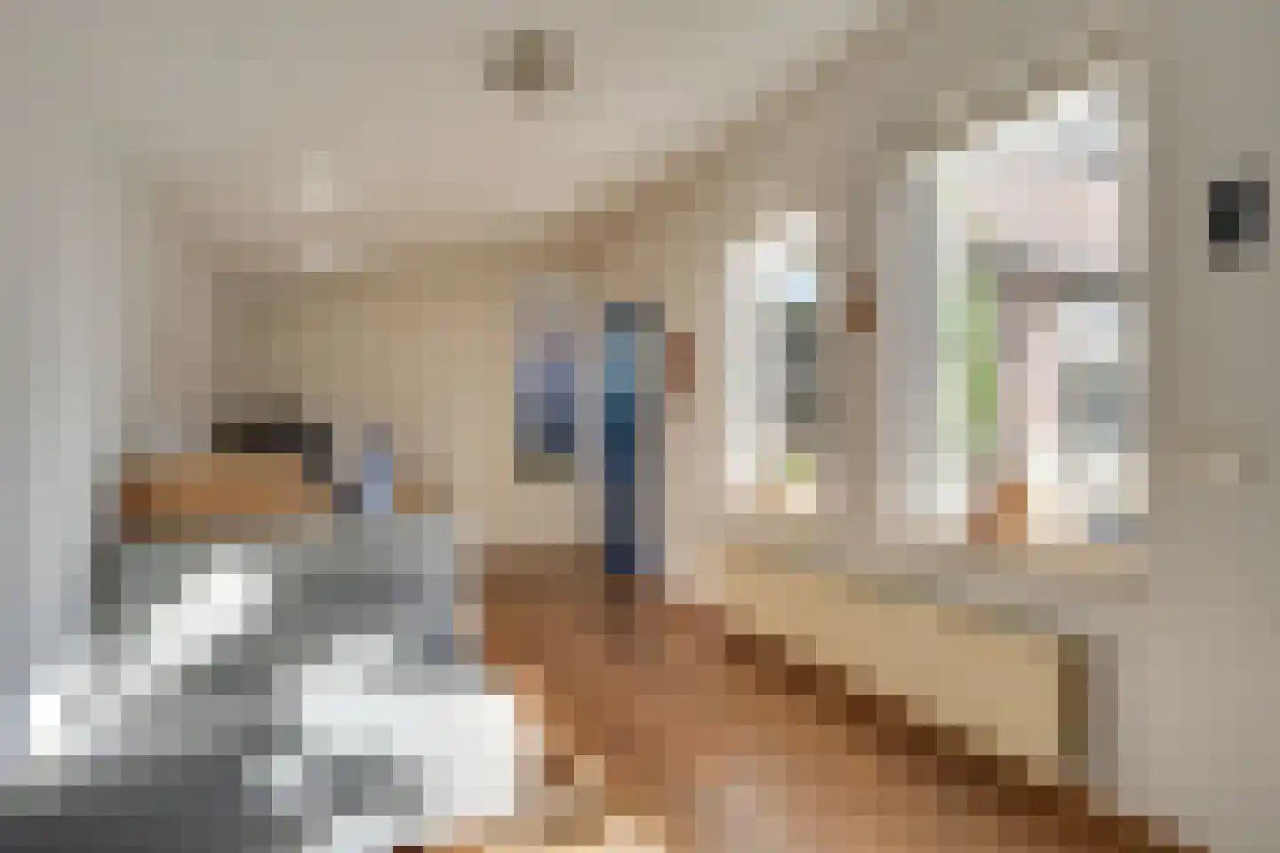 de Ambachten 120 Heeze thumbnail 21