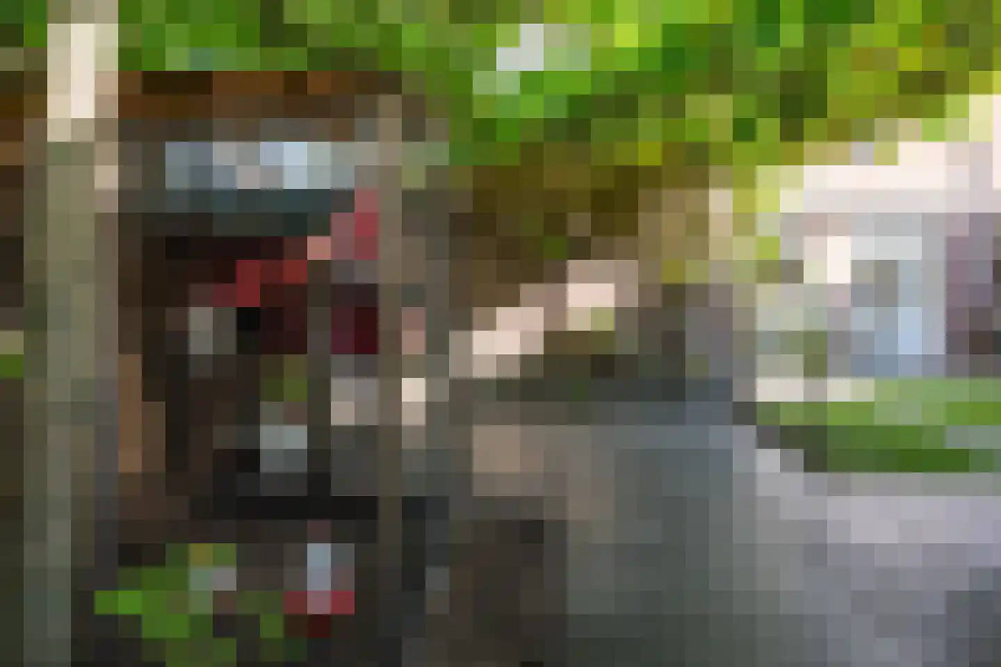 de Ambachten 120 Heeze thumbnail 39