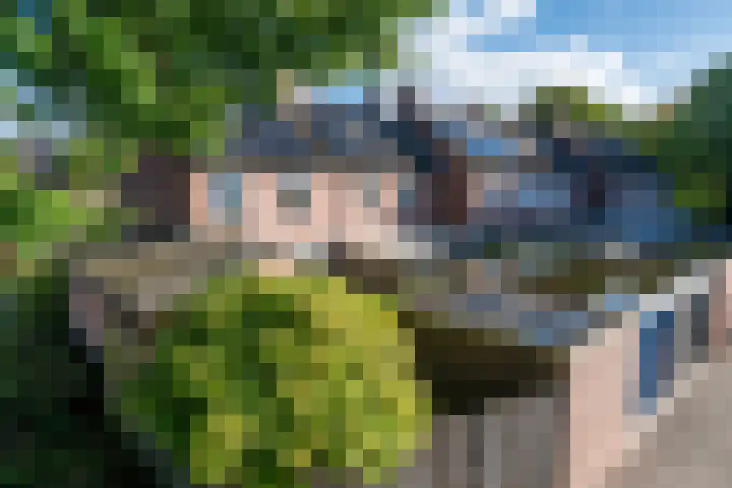 de Ambachten 120 Heeze thumbnail 43