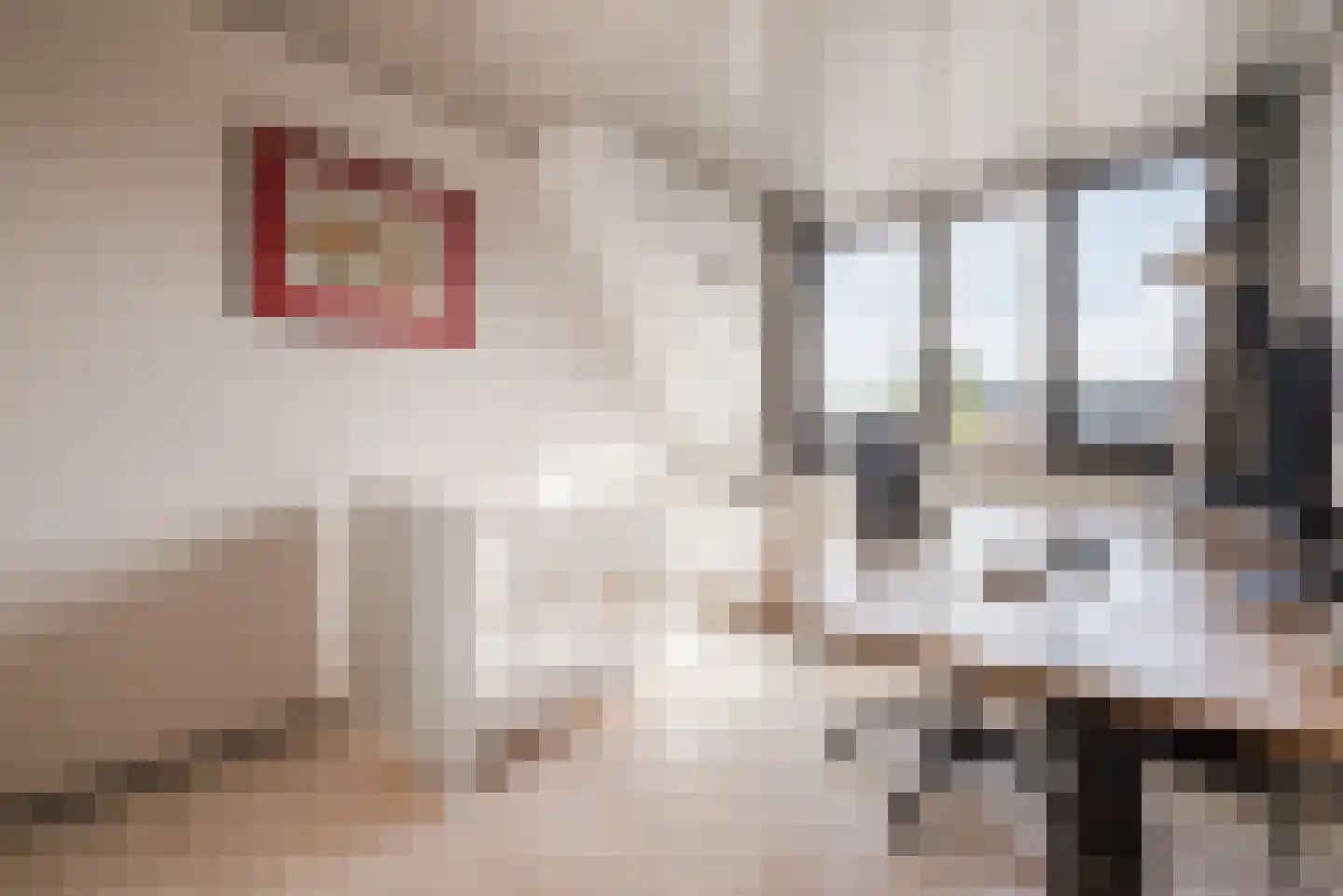 de Ambachten 157 Heeze thumbnail 14