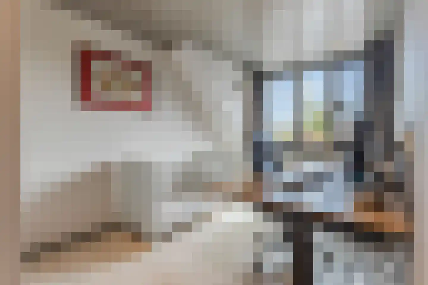 de Ambachten 157 Heeze thumbnail 19