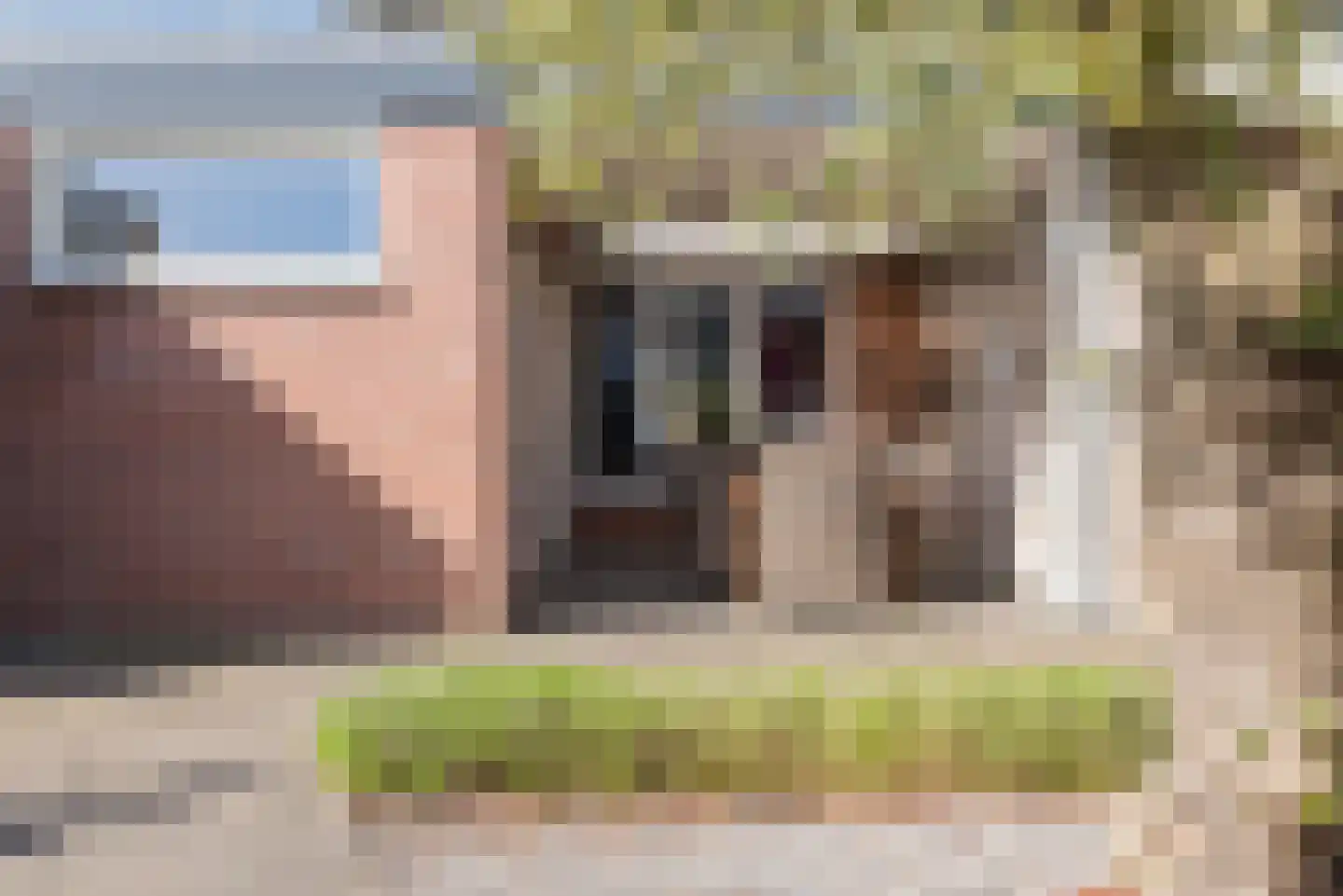 de Ambachten 157 Heeze thumbnail 23