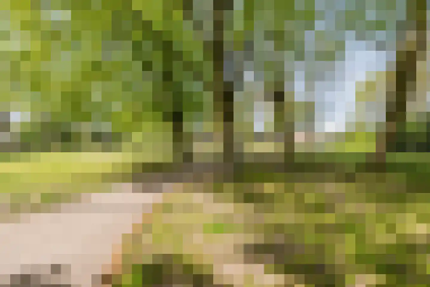 de Ambachten 157 Heeze thumbnail 28