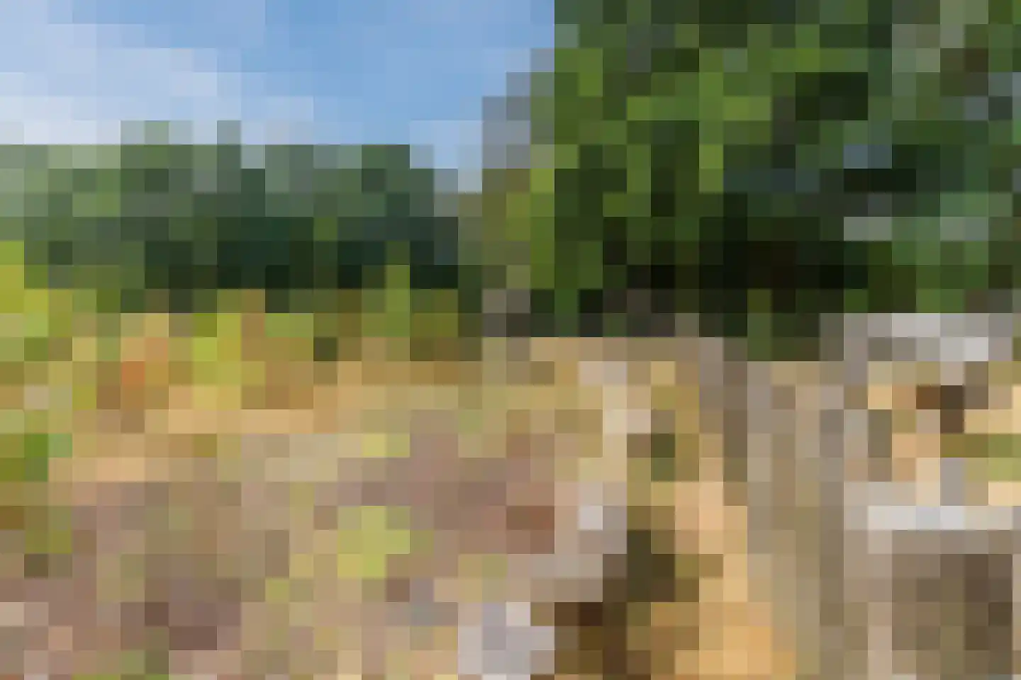 de Ambachten 157 Heeze thumbnail 36