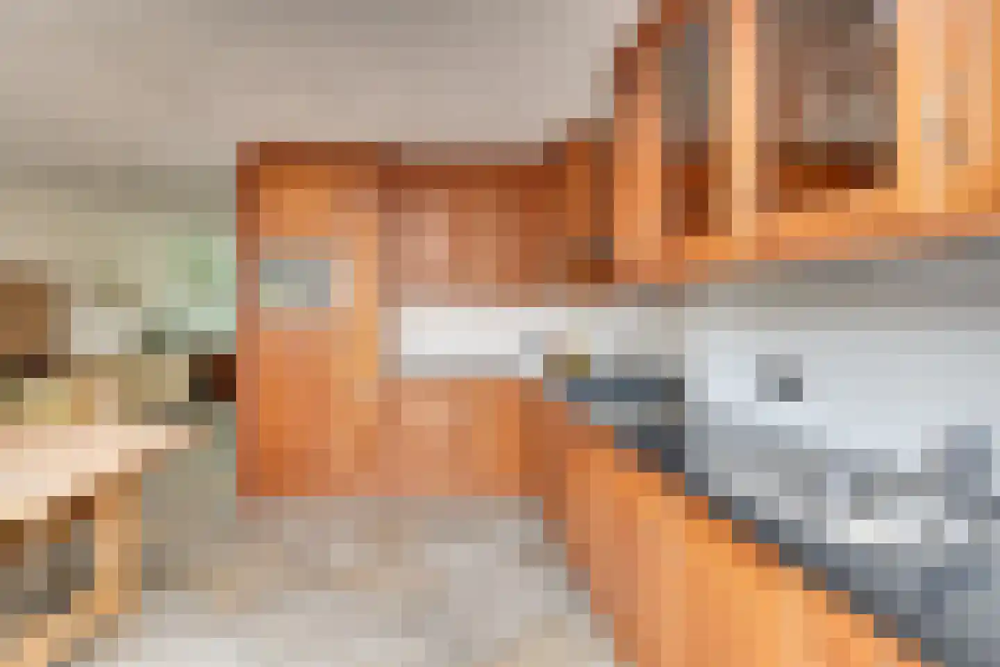 de Ambachten 171 Heeze thumbnail 15