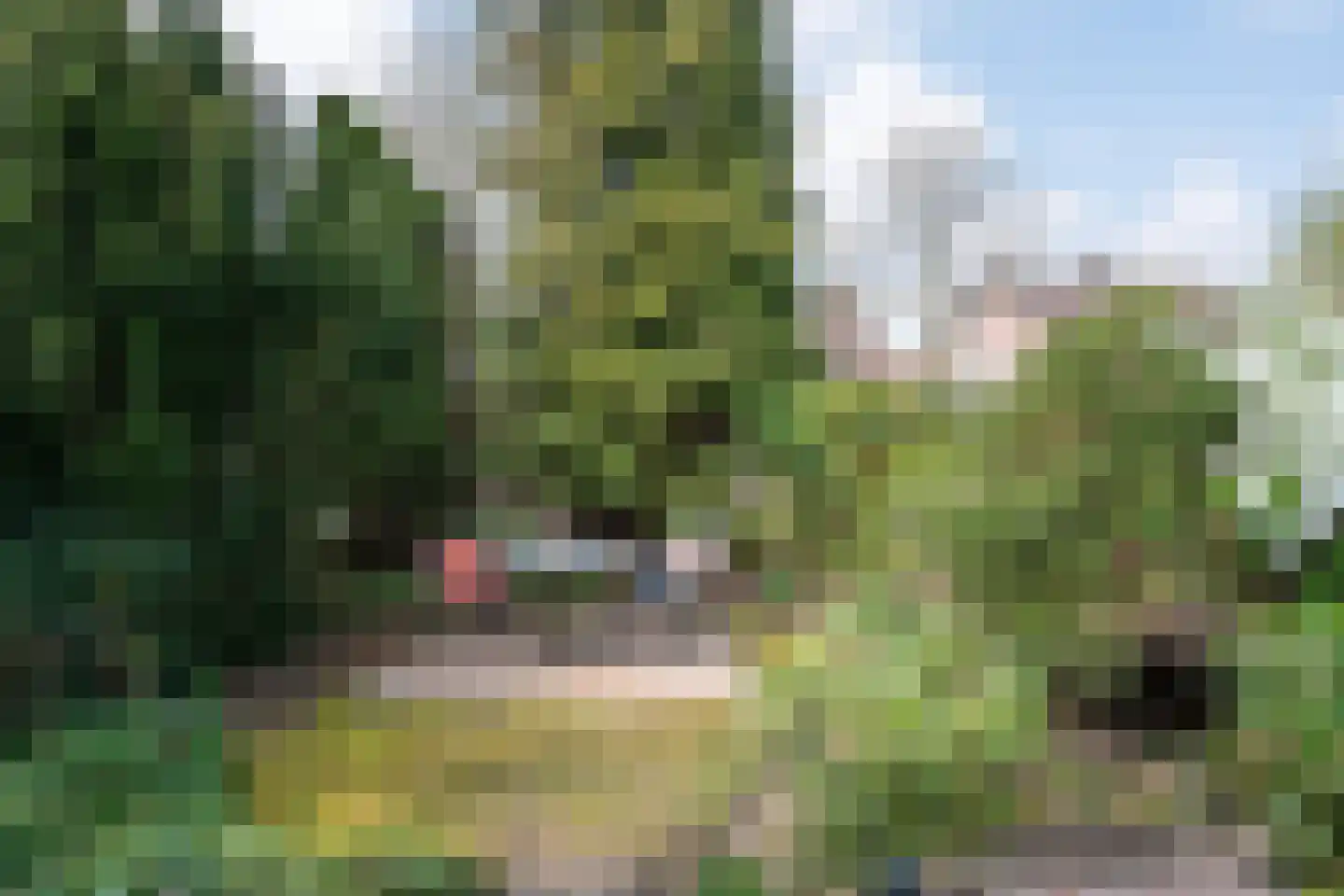 de Ambachten 171 Heeze thumbnail 4