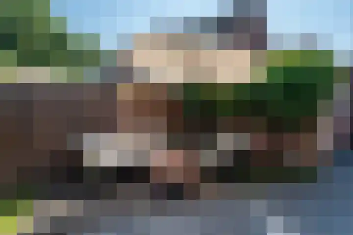 de Ambachten 177 Heeze thumbnail 36