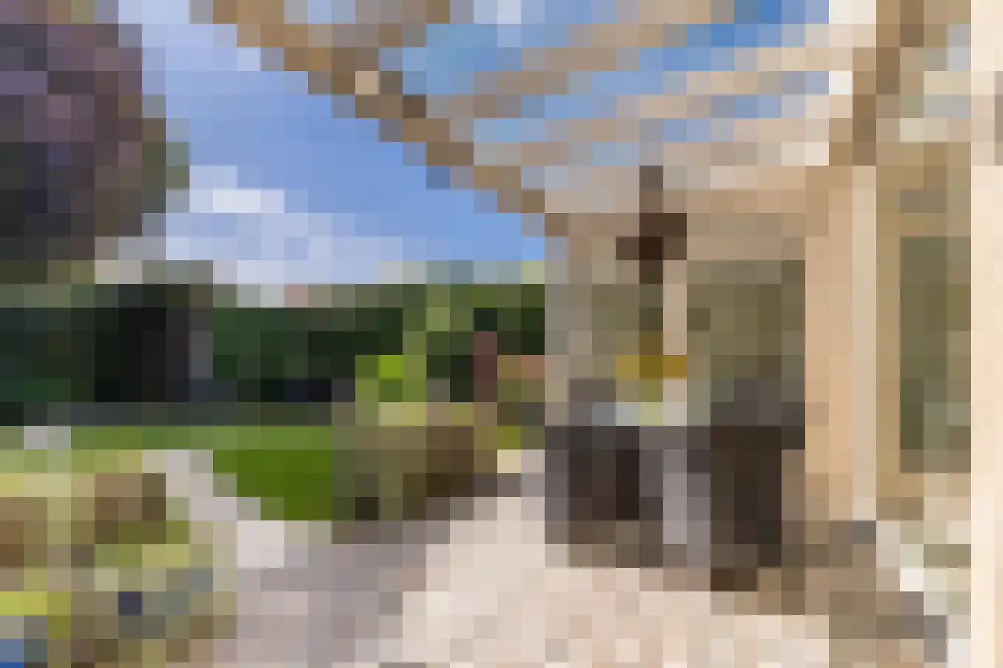 de Ambachten 77 Heeze thumbnail 4