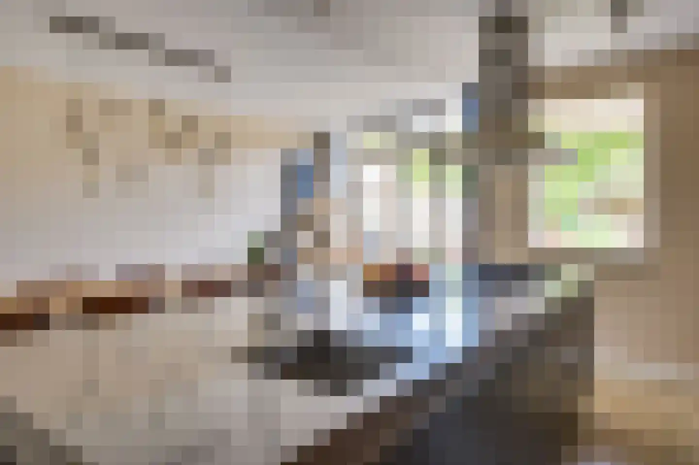 de Ambachten 82 d Heeze thumbnail 22