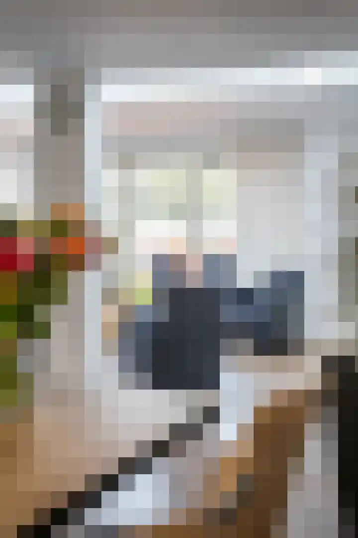 de Ambachten 93 Heeze thumbnail 14