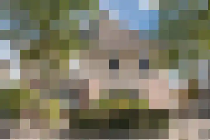 de Ambachten 93 Heeze thumbnail 5