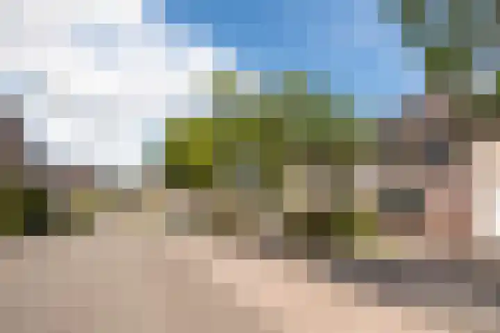 de Ambachten 93 Heeze thumbnail 6