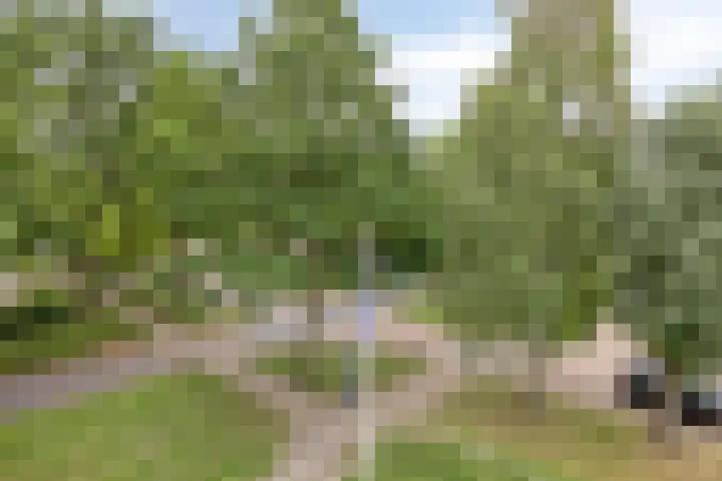 De Amberbeam 24 Burgum thumbnail 18