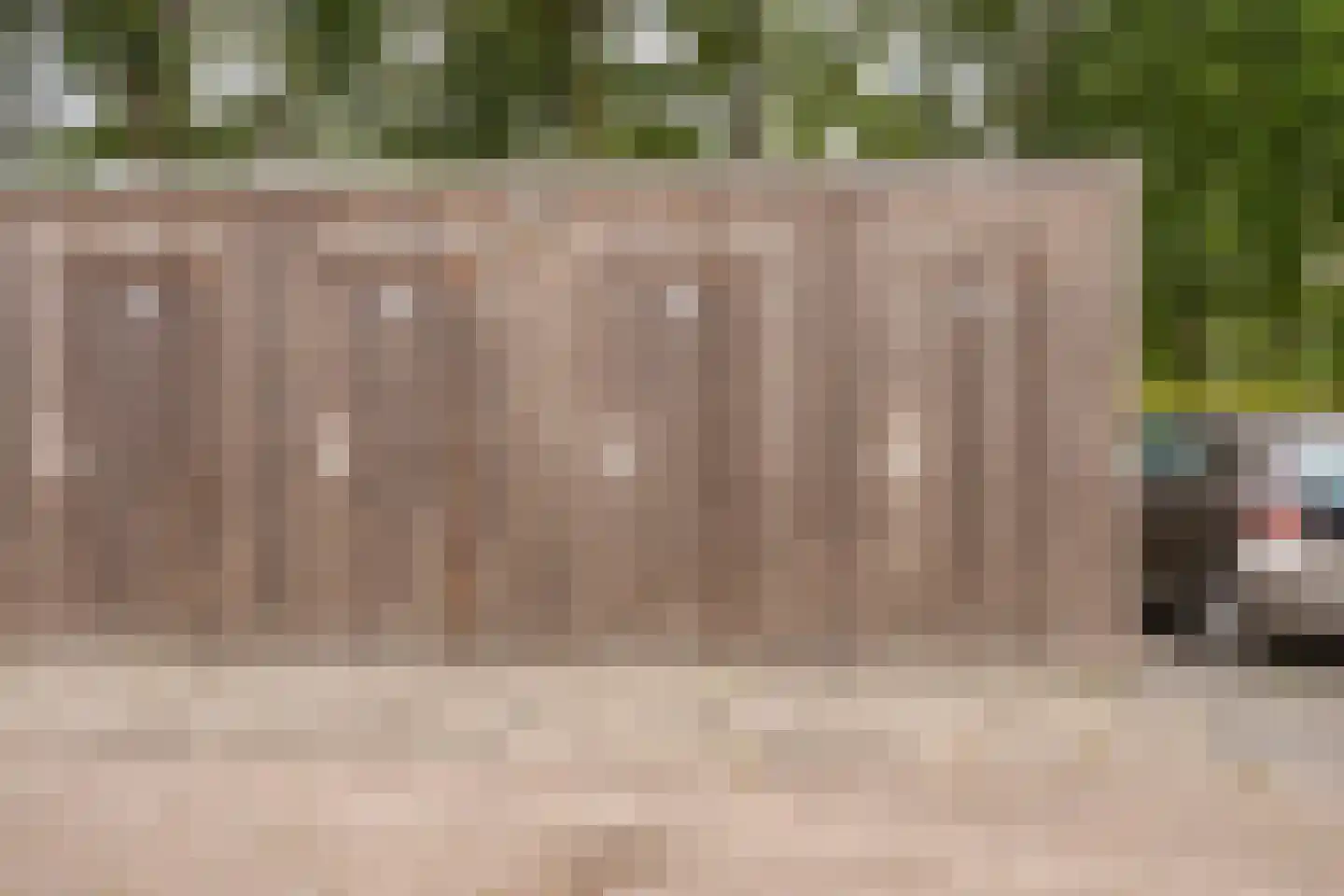 De Amberbeam 24 Burgum thumbnail 31