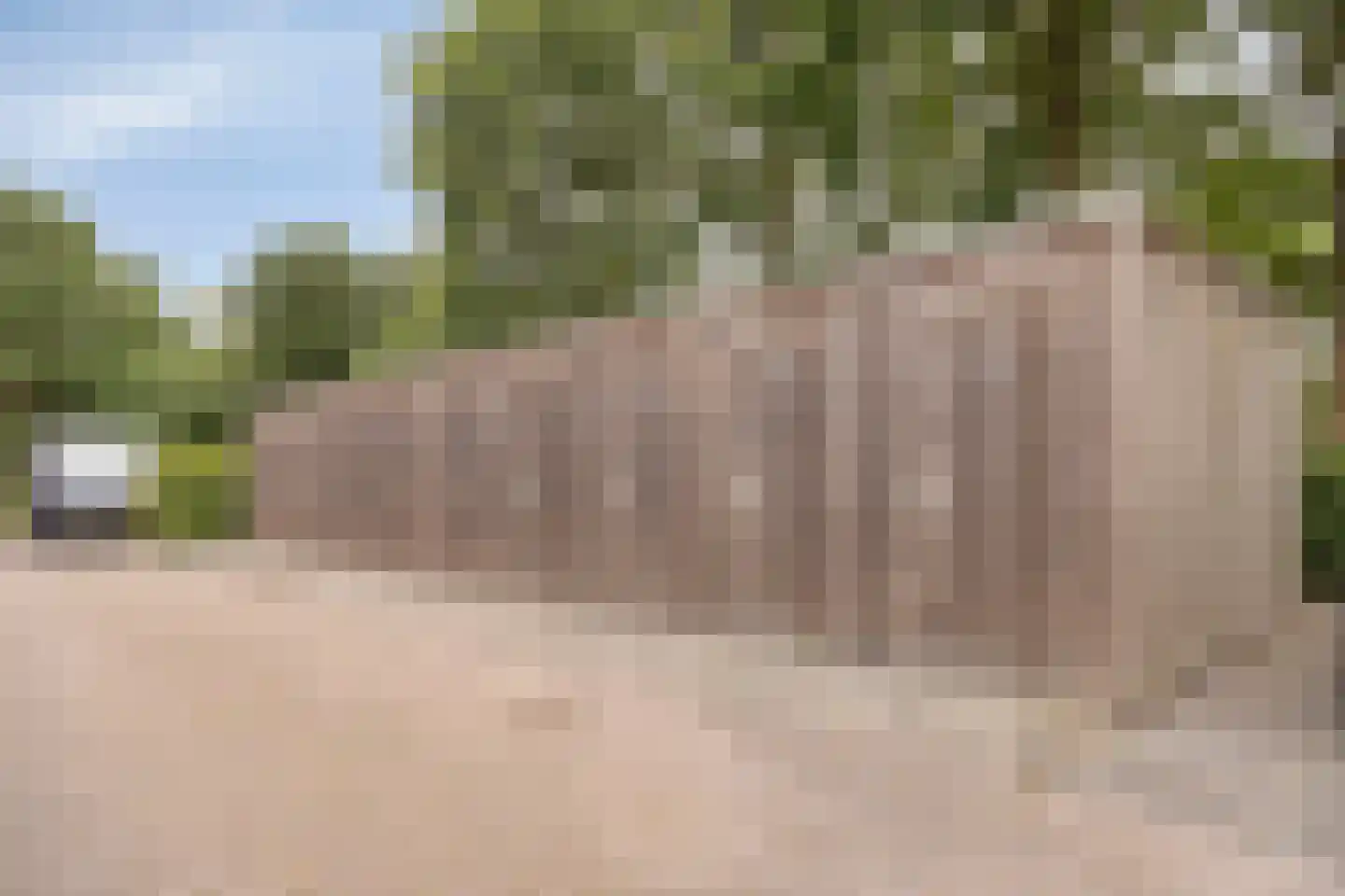 De Amberbeam 24 Burgum thumbnail 33