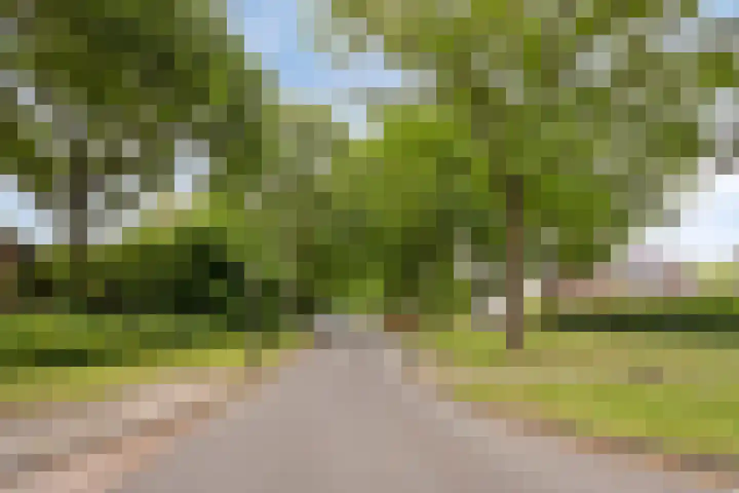 De Amberbeam 24 Burgum thumbnail 42