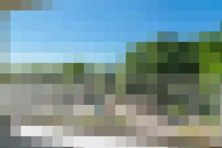 De Amberbeam 26 Burgum thumbnail 23