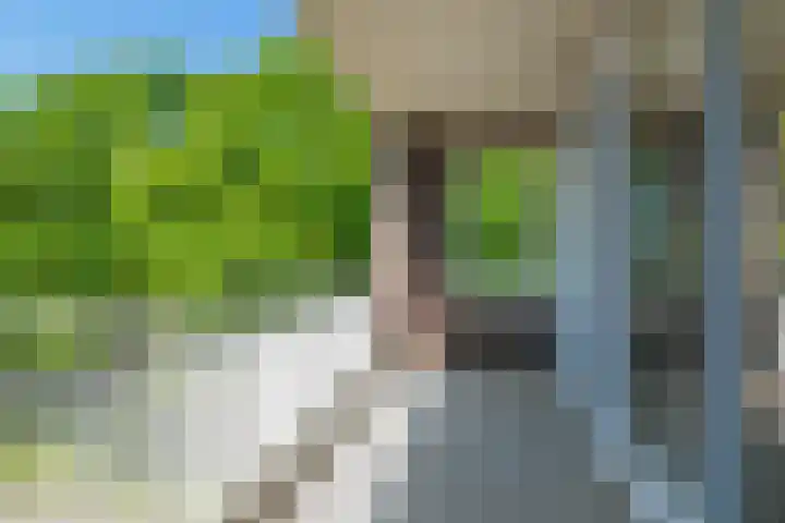 De Amberbeam 26 Burgum thumbnail 24