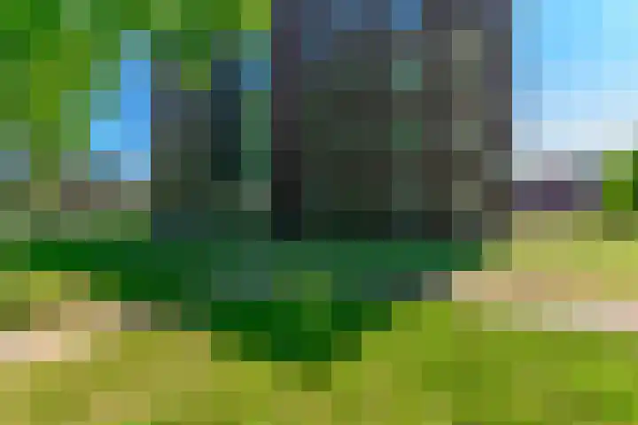 De Amberbeam 26 Burgum thumbnail 33