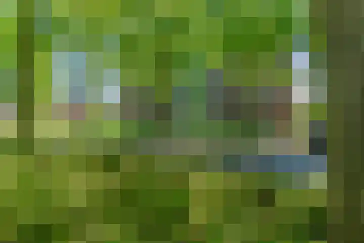 De Amberbeam 26 Burgum thumbnail 34