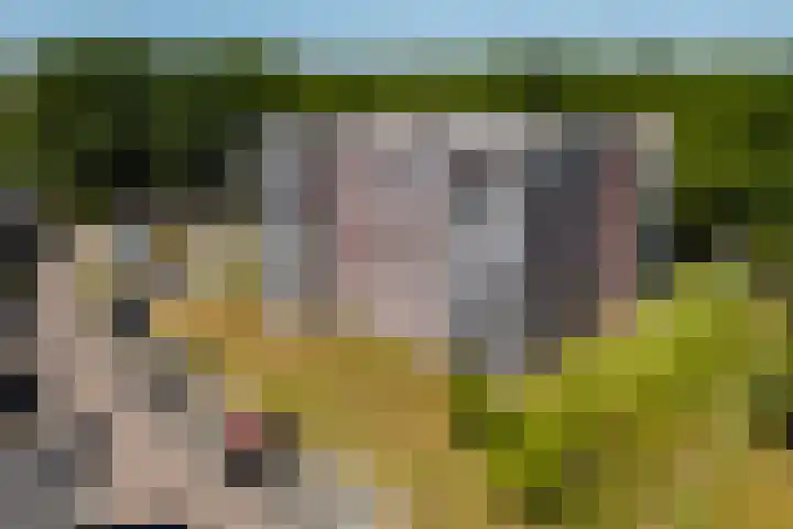 De Amberbeam 26 Burgum thumbnail 40