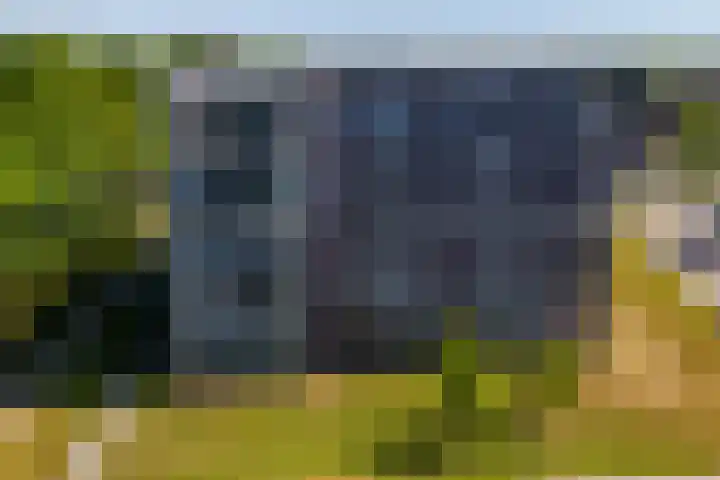De Amberbeam 26 Burgum thumbnail 41