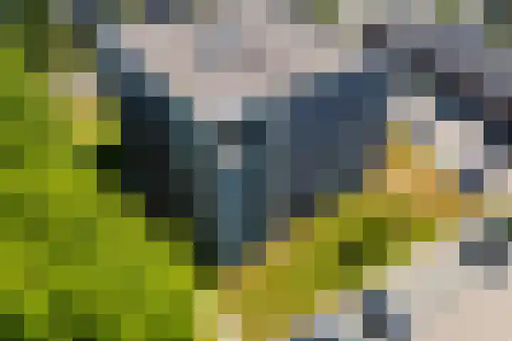 De Amberbeam 26 Burgum thumbnail 43