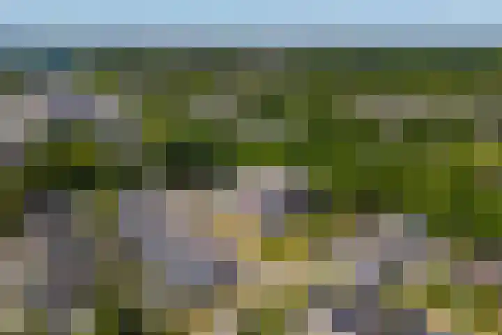 De Amberbeam 26 Burgum thumbnail 44