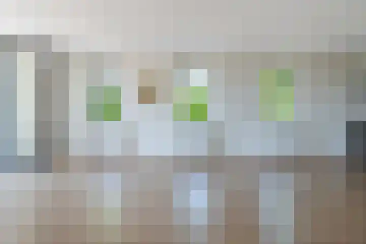 De Amberbeam 26 Burgum thumbnail 9