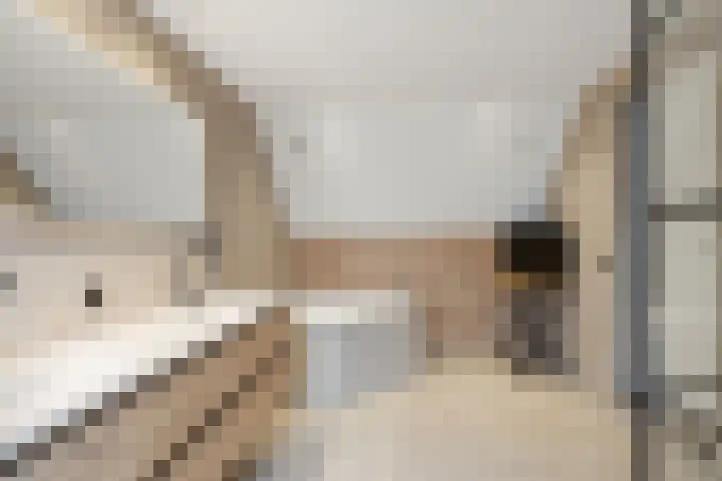 De Amstel 16 Drunen thumbnail 27