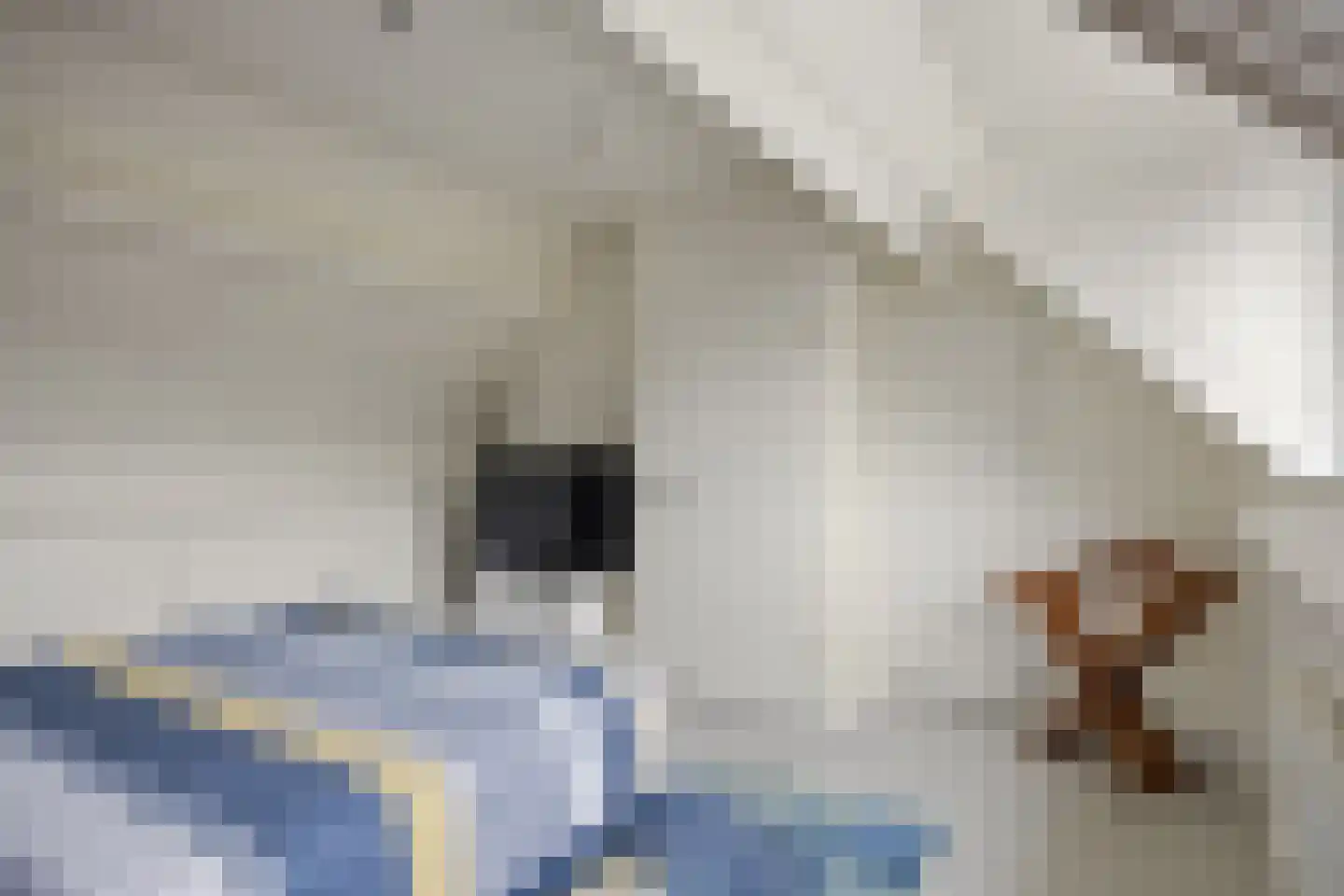 De Amstel 16 Drunen thumbnail 30