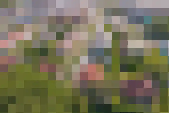 De Amstel 26 Dronten thumbnail 5