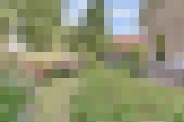 De Amstel 26 Dronten thumbnail 61