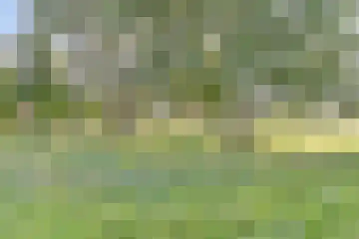 De Amstel 26 Dronten thumbnail 72