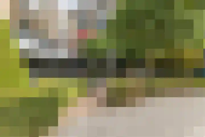 De Angstel 533 Breukelen thumbnail 19