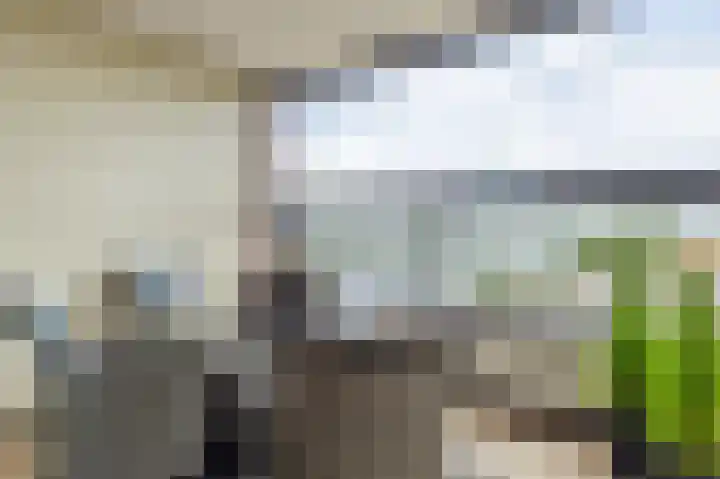 De Angstel 533 Breukelen thumbnail 5