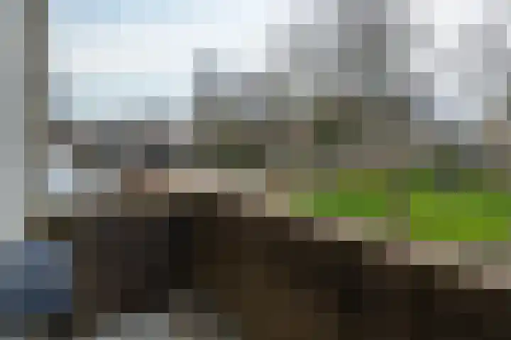 de Anjen 141 Leeuwarden thumbnail 26