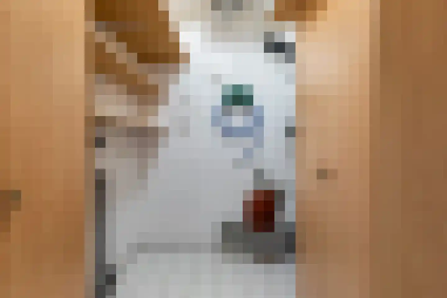 de Anjen 3 Kollum thumbnail 32