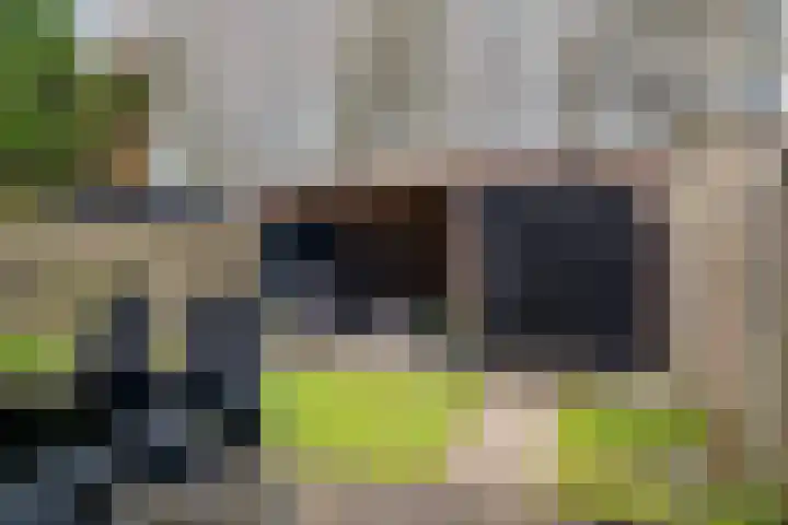 de Anjen 37 Leeuwarden thumbnail 17