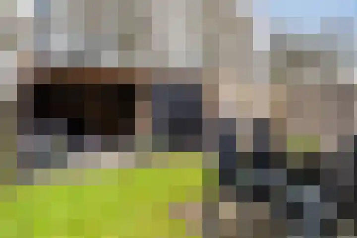de Anjen 37 Leeuwarden thumbnail 18