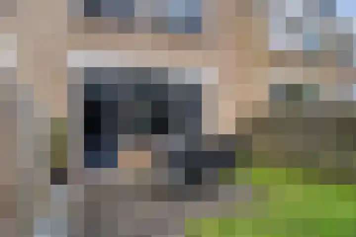 de Anjen 37 Leeuwarden thumbnail 20