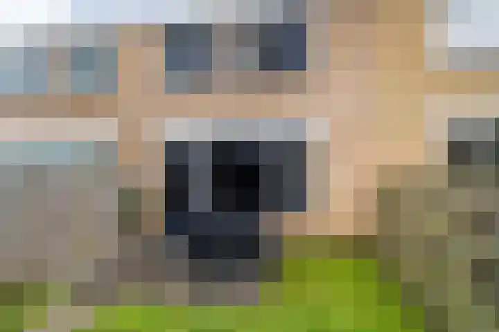 de Anjen 37 Leeuwarden thumbnail 21