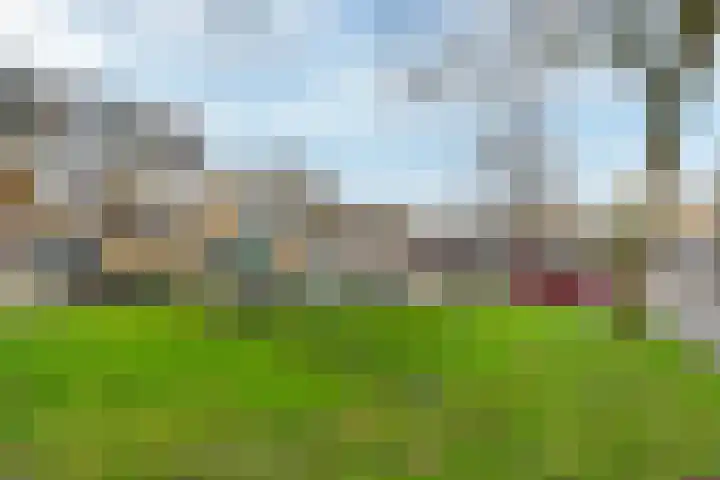 de Anjen 37 Leeuwarden thumbnail 24