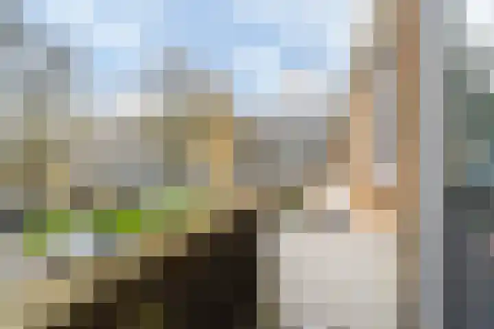 de Anjen 37 Leeuwarden thumbnail 32