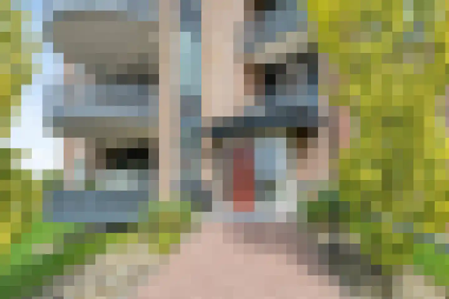 de Anjen 39 Kollum thumbnail 19