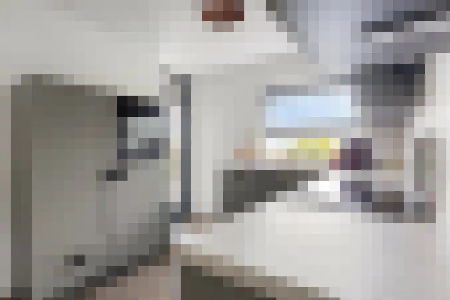 de Anjen 39 Kollum thumbnail 30