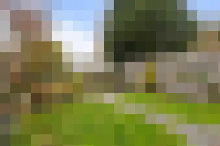 de Anjen 60 Leeuwarden thumbnail 15
