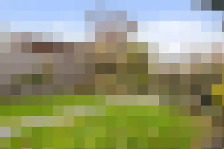de Anjen 60 Leeuwarden thumbnail 16