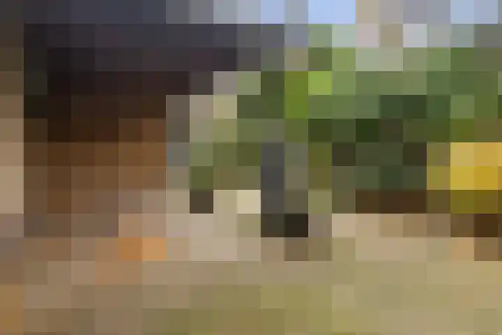 de Anjen 60 Leeuwarden thumbnail 42