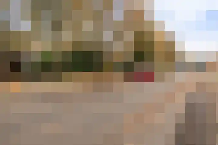 de Anjen 60 Leeuwarden thumbnail 43